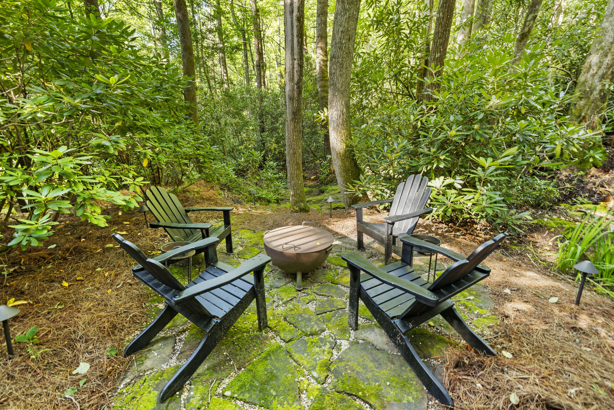110 Sourwood Court