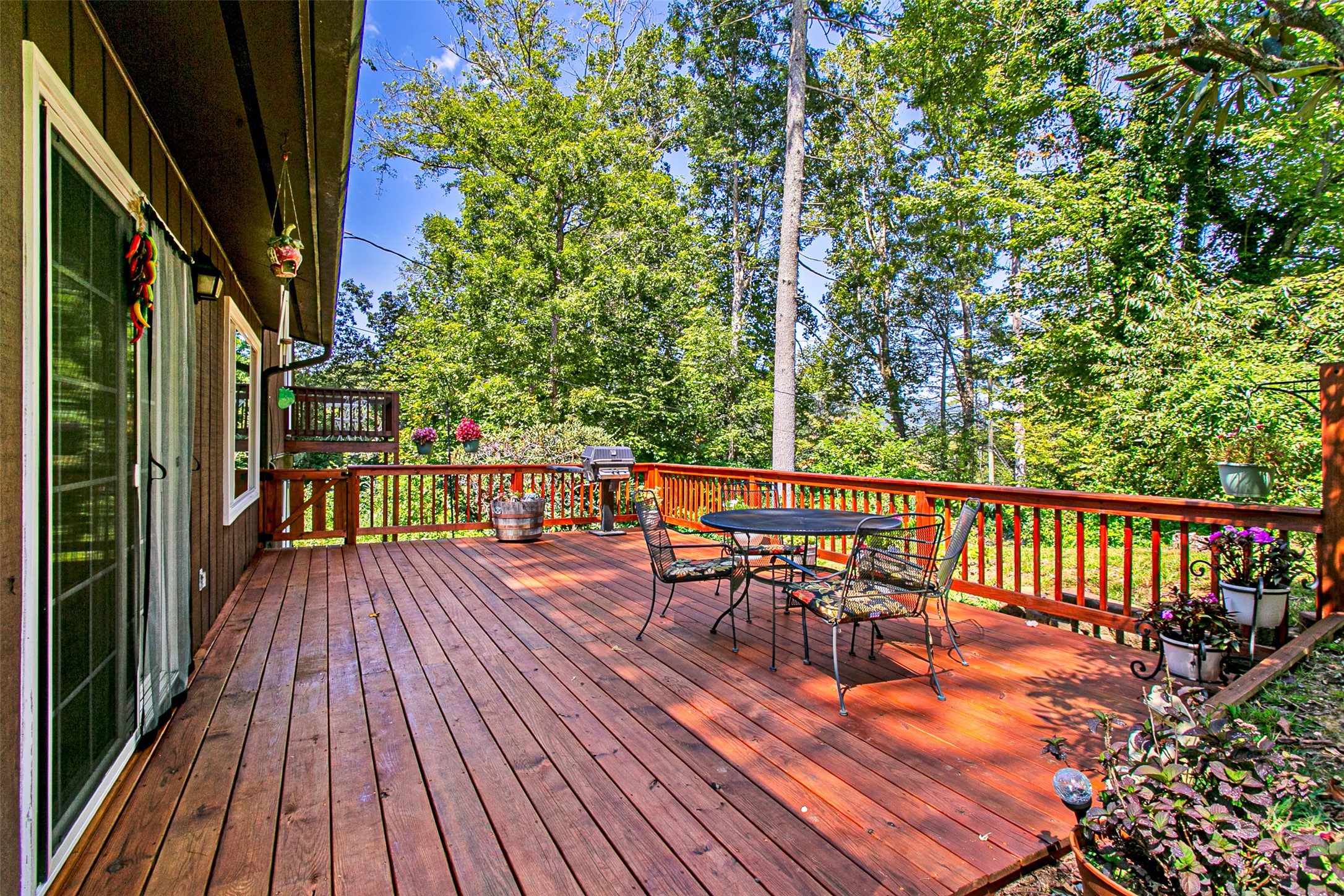 88 Hosta Lane