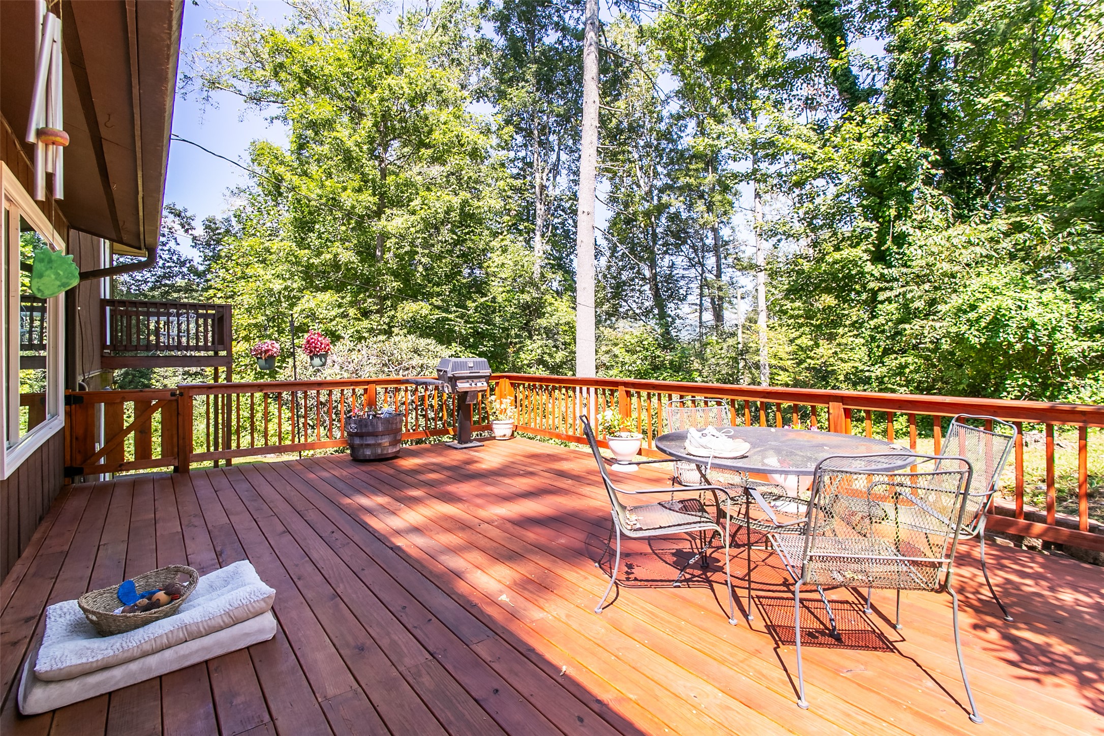 88 Hosta Lane
