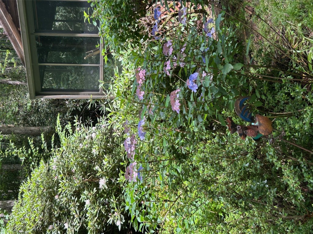 76 Azalea Court