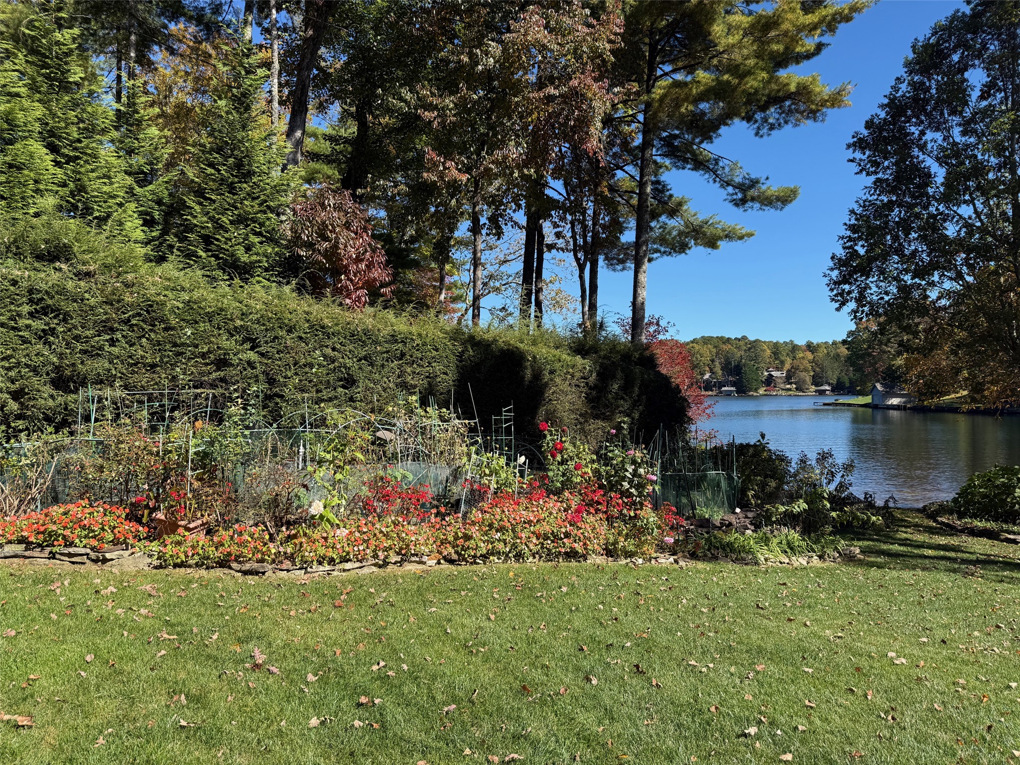 568 W Club Boulevard