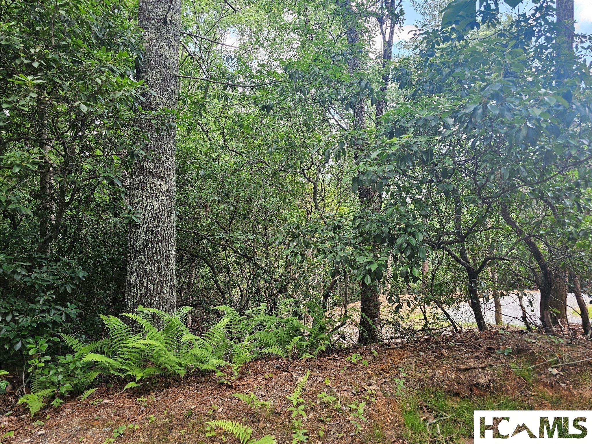 171 Duff Cove Road