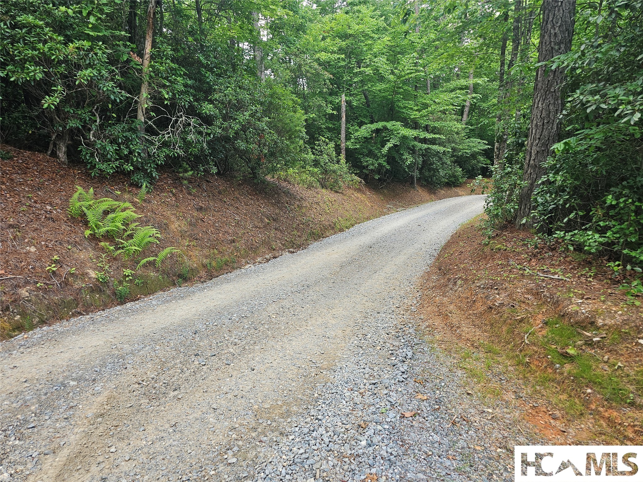 171 Duff Cove Road