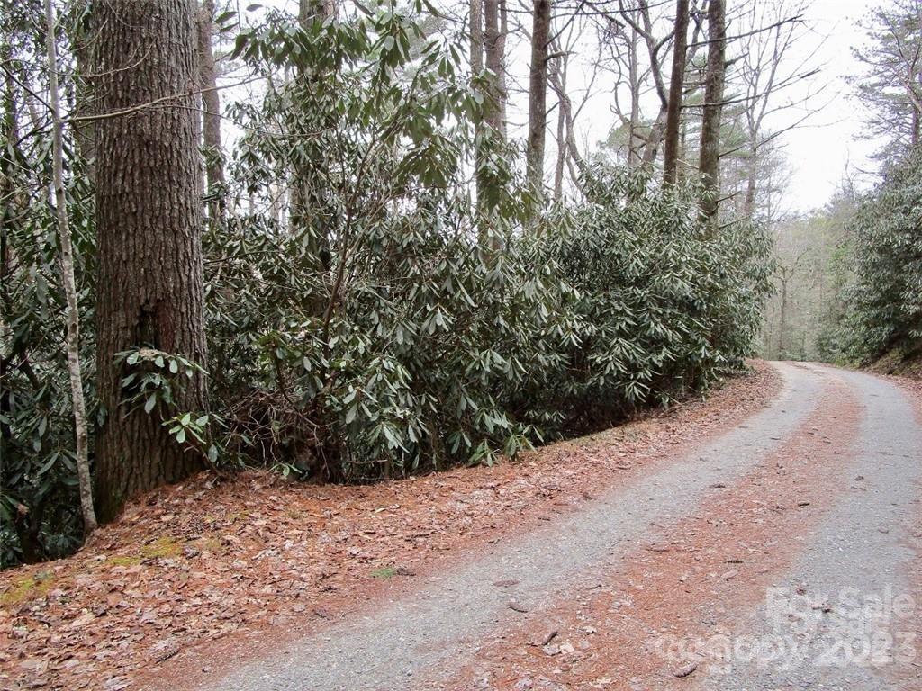 Lot #21 Toxaway Falls Drive