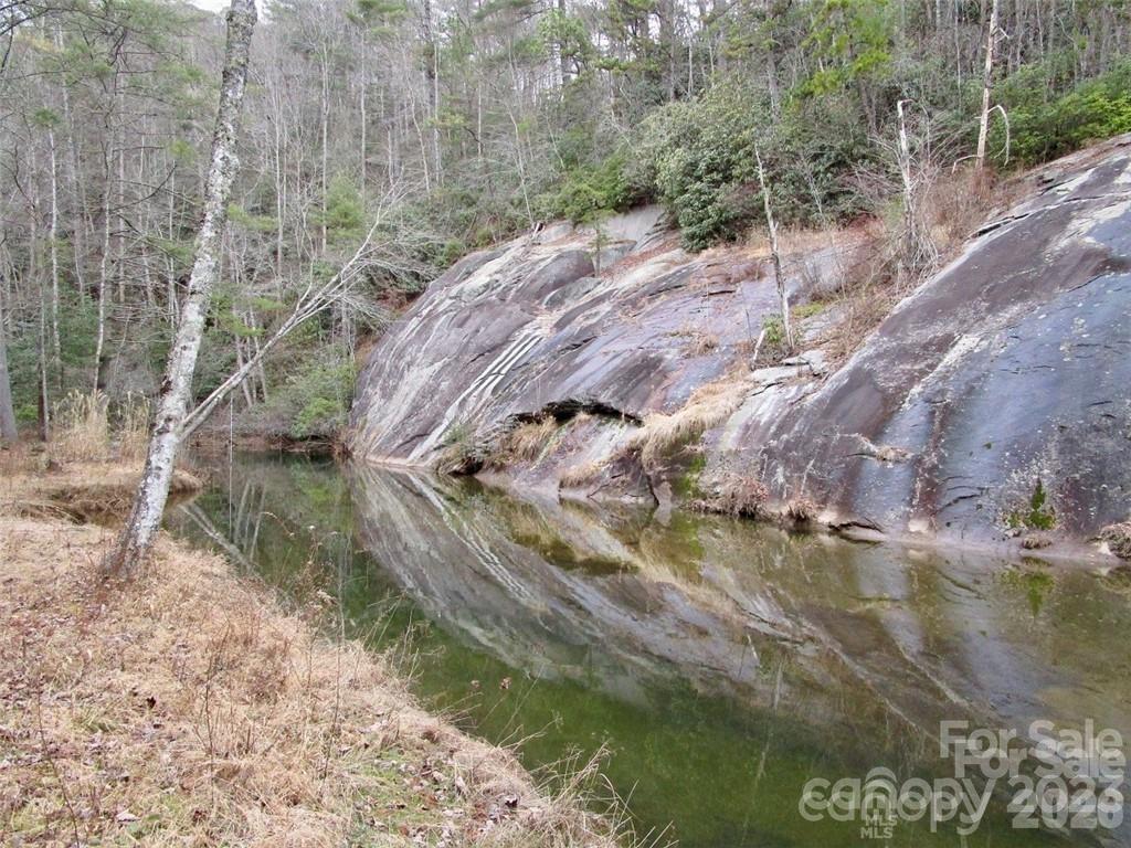 Lot #21 Toxaway Falls Drive