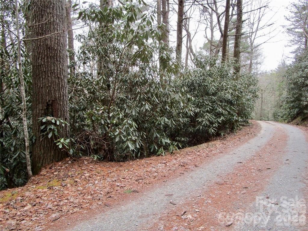 Lot #21 Toxaway Falls Drive