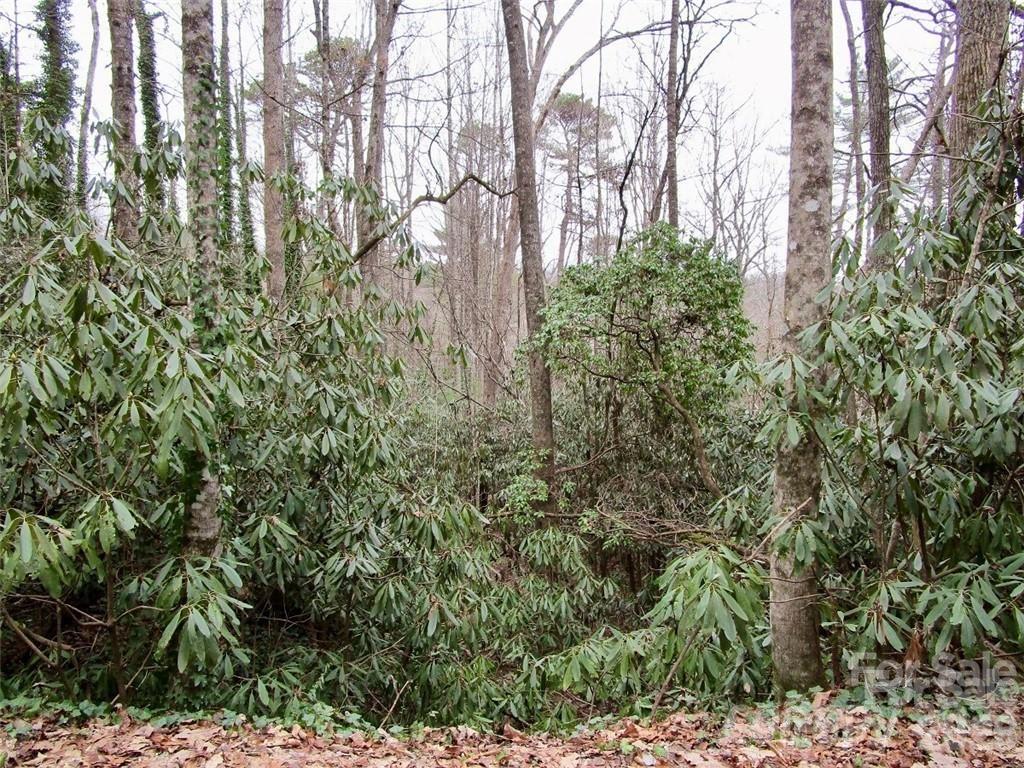 Lot #21 Toxaway Falls Drive