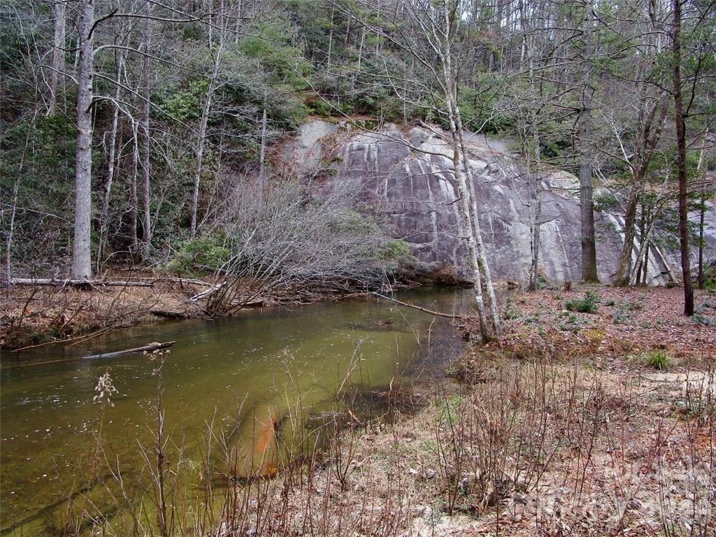 Lot #21 Toxaway Falls Drive