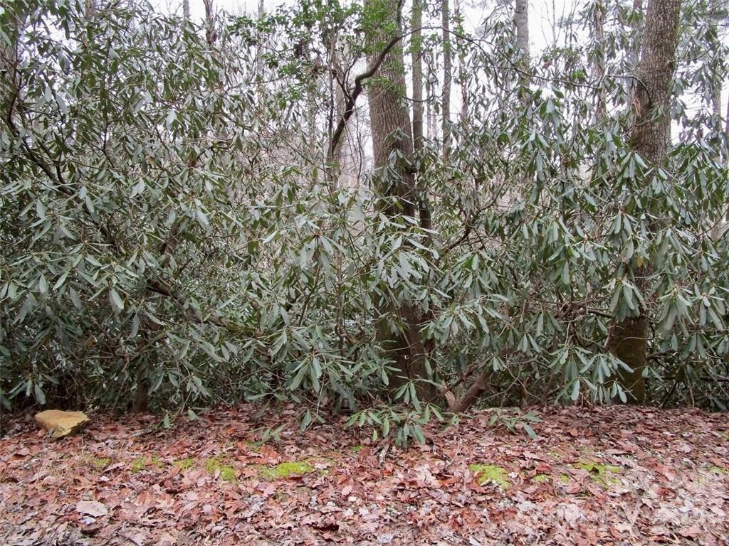 Lot #21 Toxaway Falls Drive