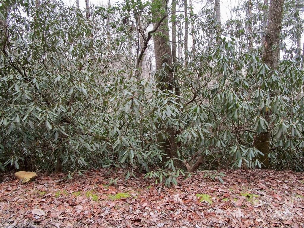 Lot #21 Toxaway Falls Drive