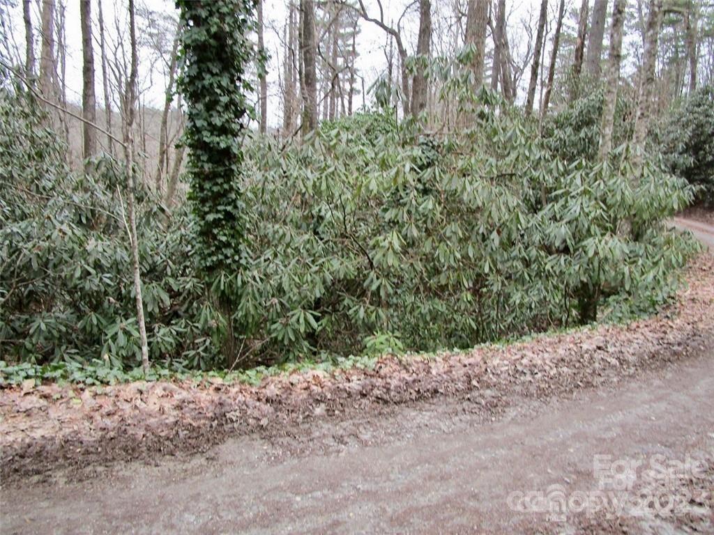 Lot #22 Toxaway Falls Drive