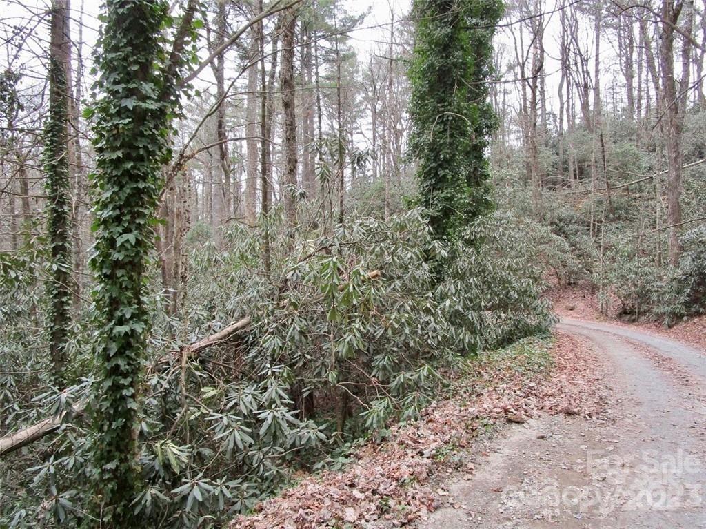 Lot #22 Toxaway Falls Drive
