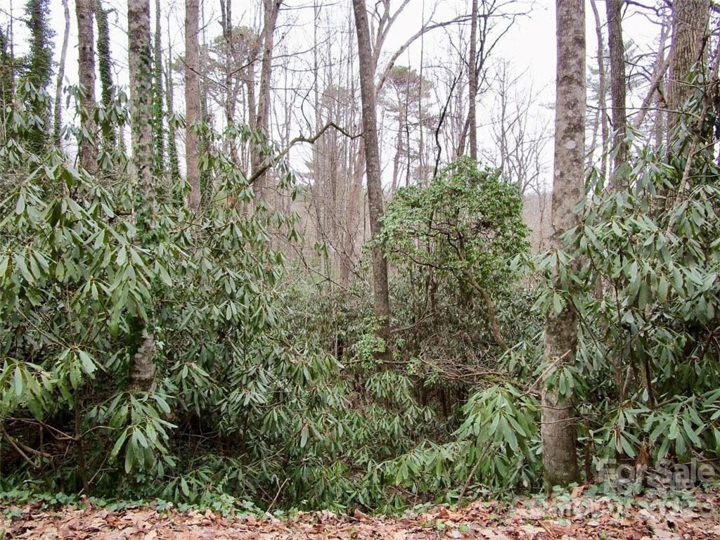 Lot #22 Toxaway Falls Drive