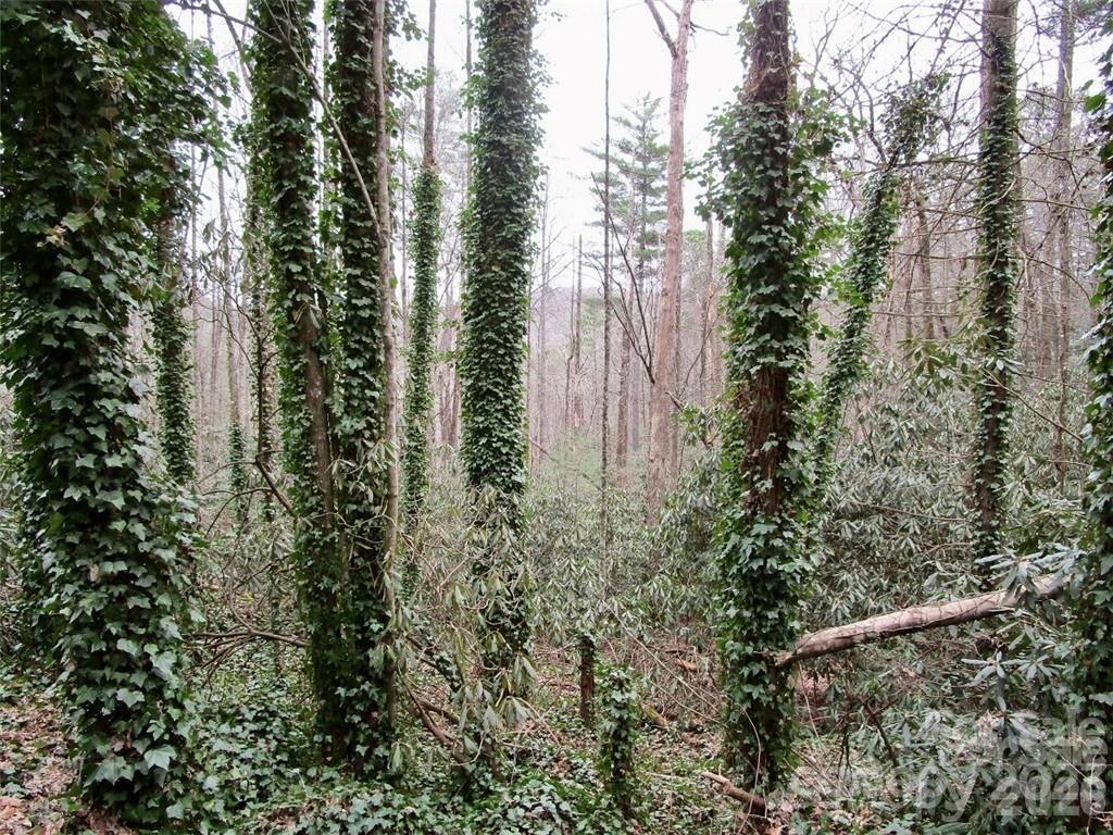Lot #22 Toxaway Falls Drive