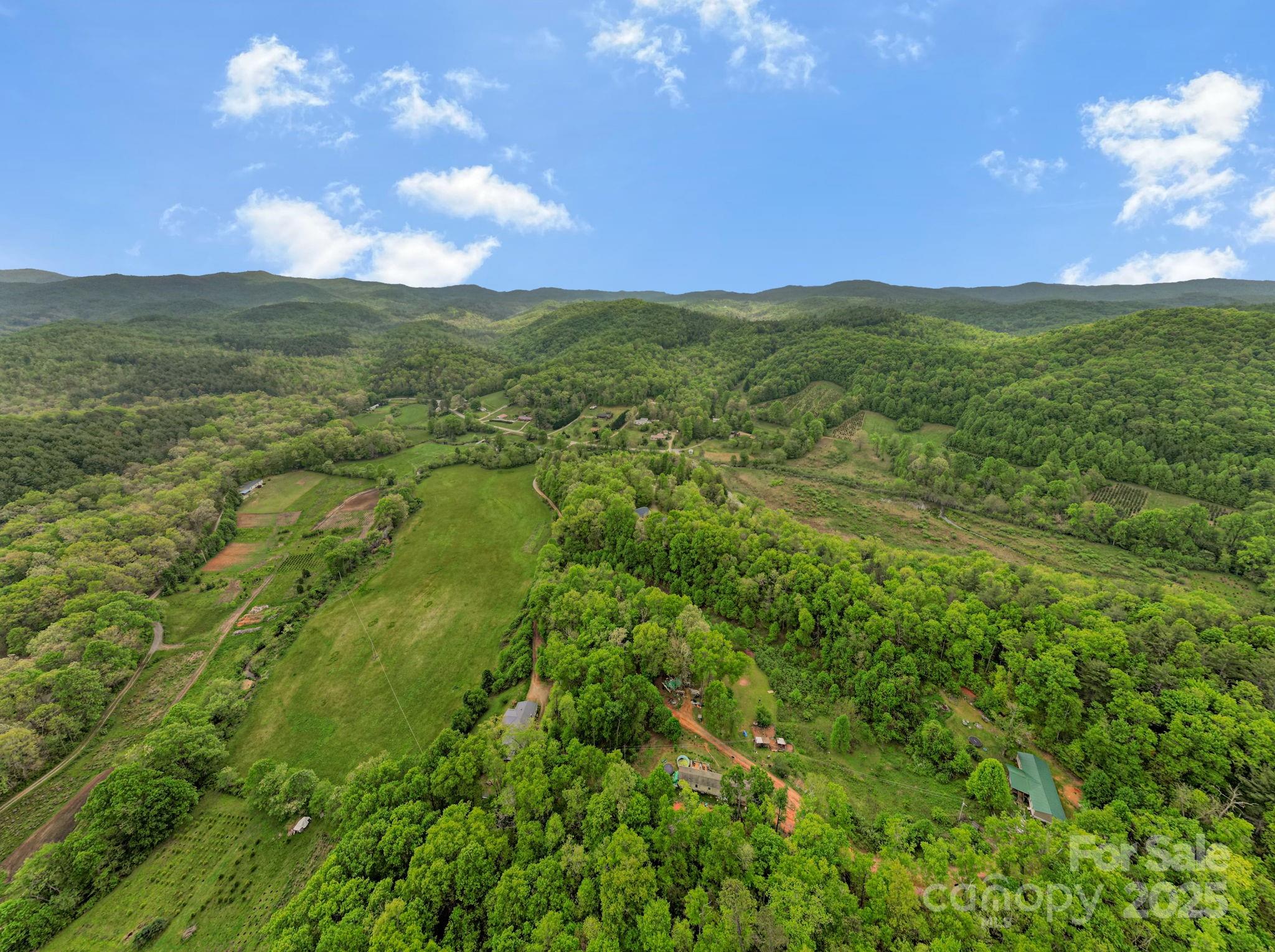 2 Harlow and Cricket Drive