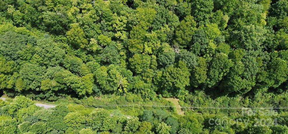 Lot 114 Pickens Highway