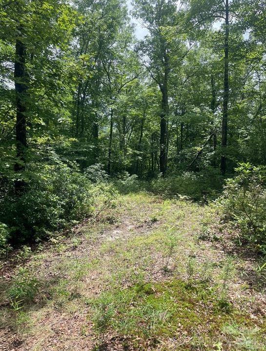 Lot 114 Pickens Highway