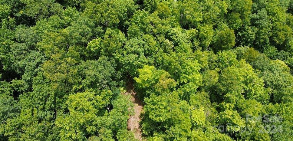 Lot 114 Pickens Highway