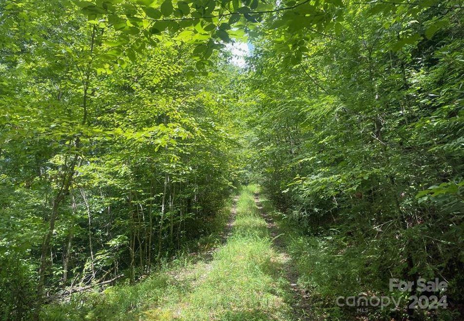 Lot 114 Pickens Highway