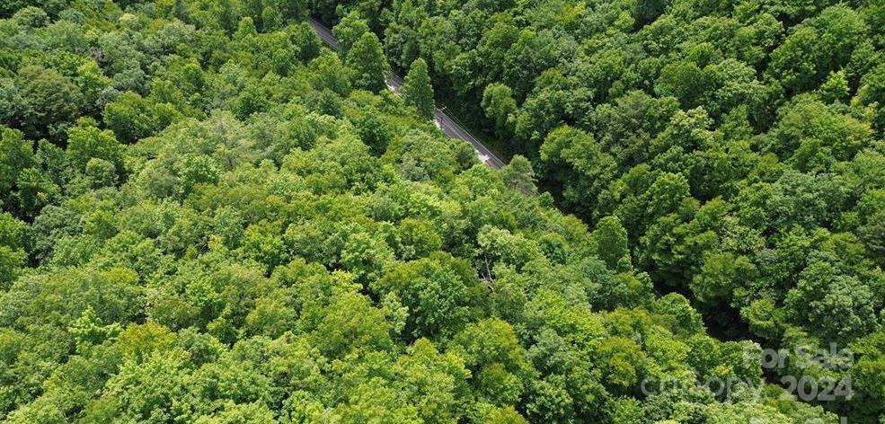 Lot 114 Pickens Highway