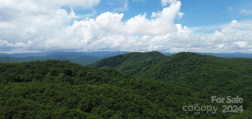 Lot 114 Pickens Highway