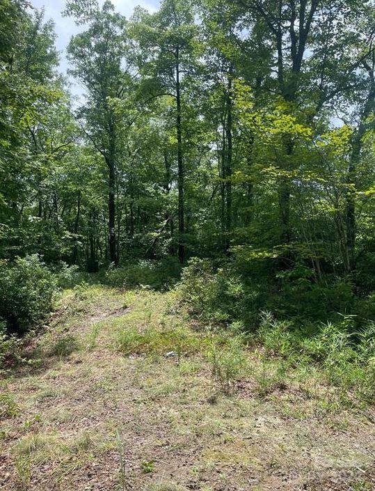 Lot 114 Pickens Highway