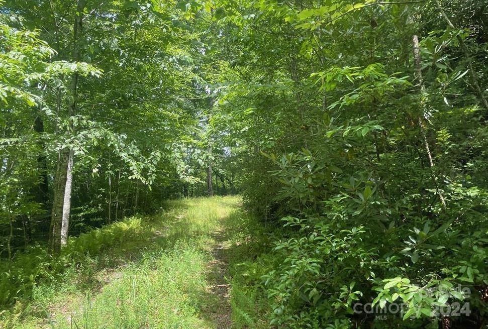 Lot 114 Pickens Highway