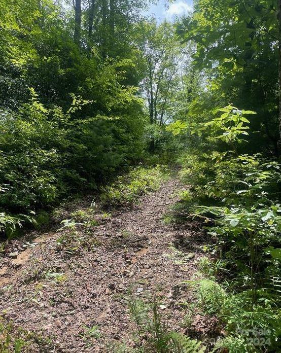 Lot 114 Pickens Highway