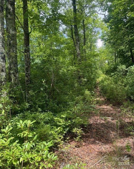Lot 114 Pickens Highway