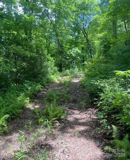 Lot 114 Pickens Highway