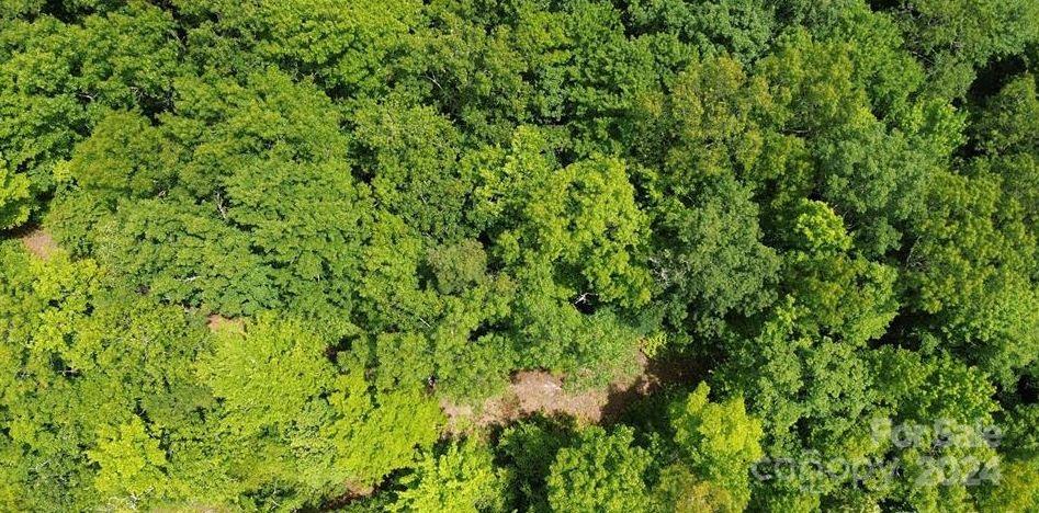 Lot 114 Pickens Highway