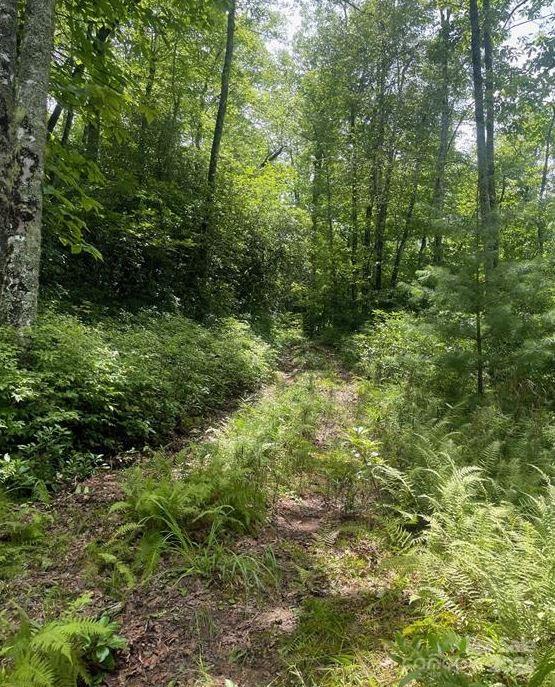 Lot 114 Pickens Highway