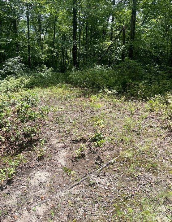 Lot 114 Pickens Highway