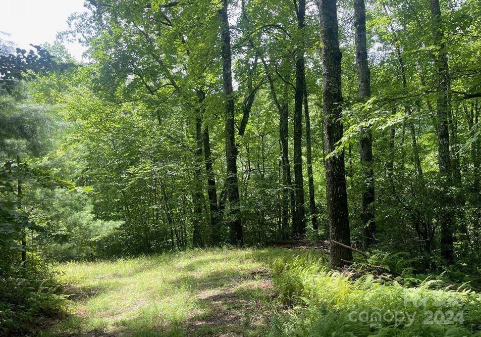 Lot 114 Pickens Highway
