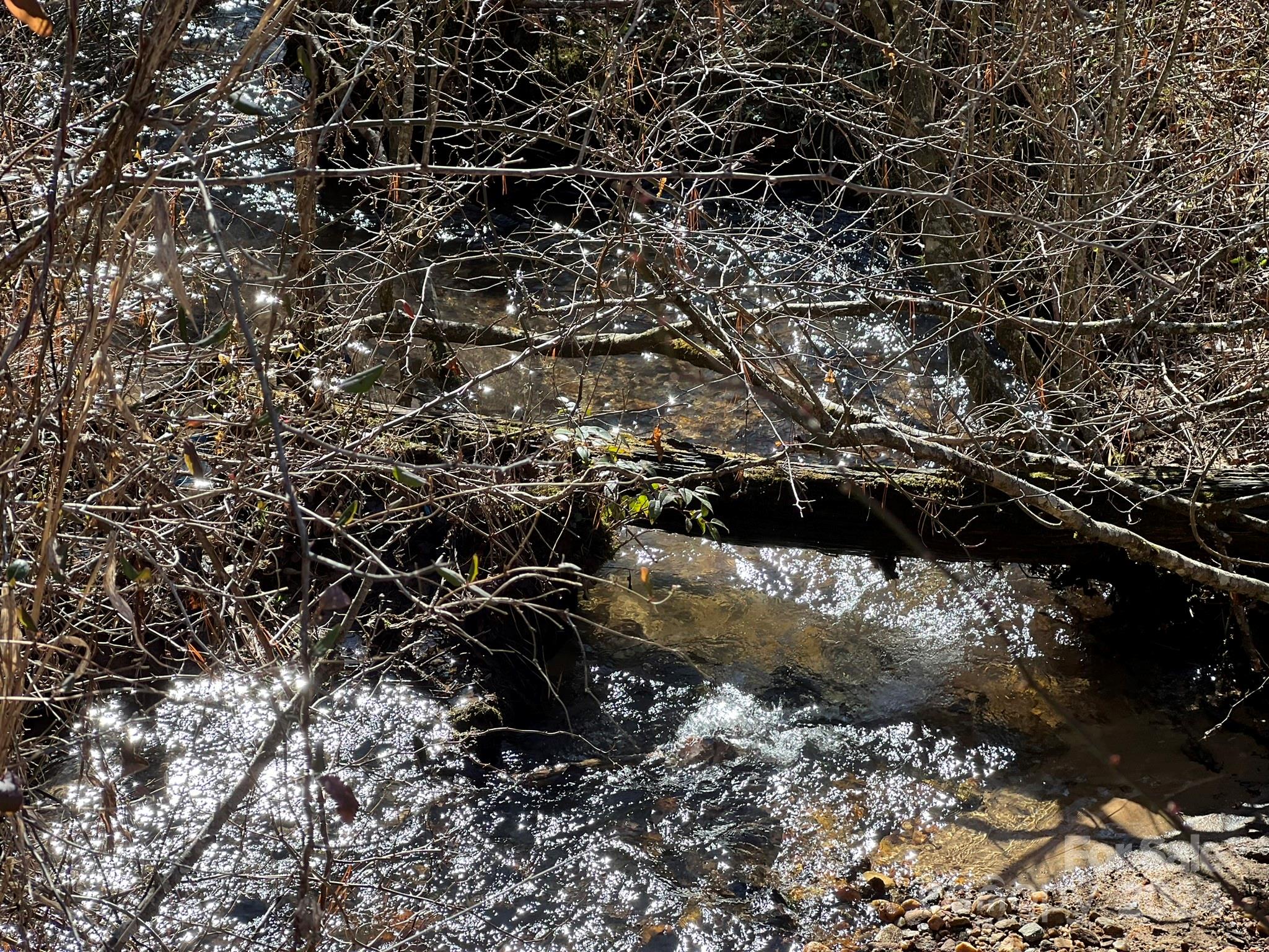 TBD Homer McCall Road