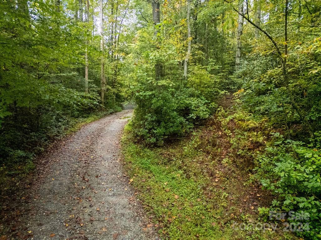 TBD Homer McCall Road