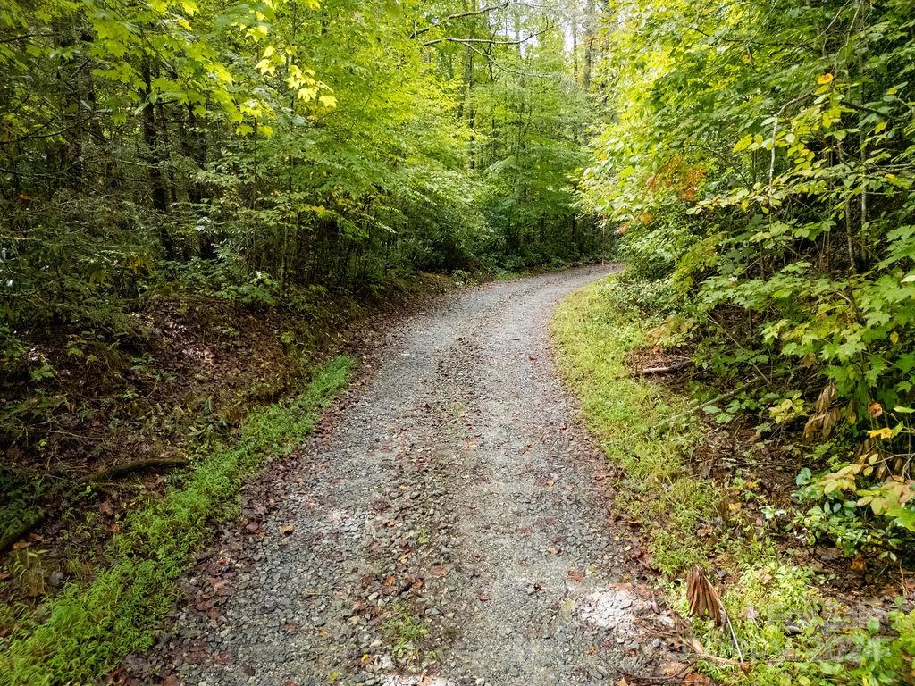 TBD Homer McCall Road