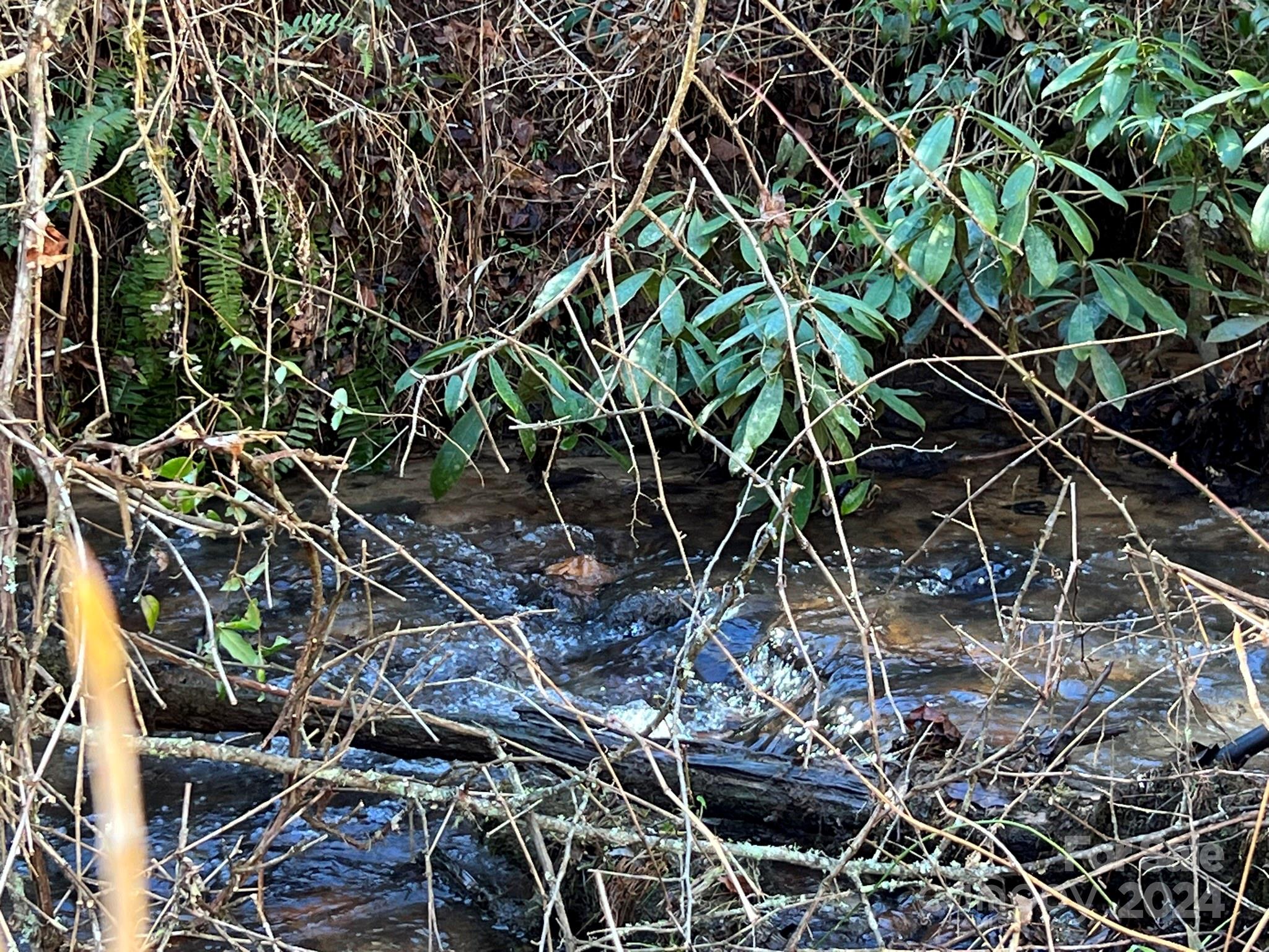 TBD Homer McCall Road