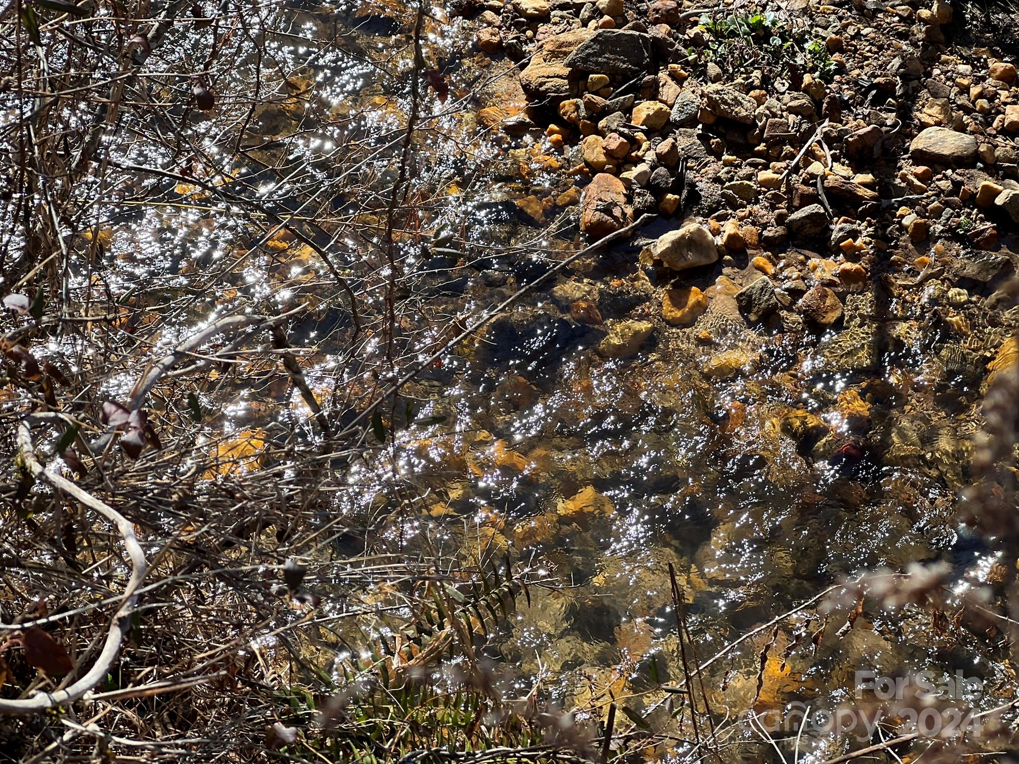 TBD Homer McCall Road