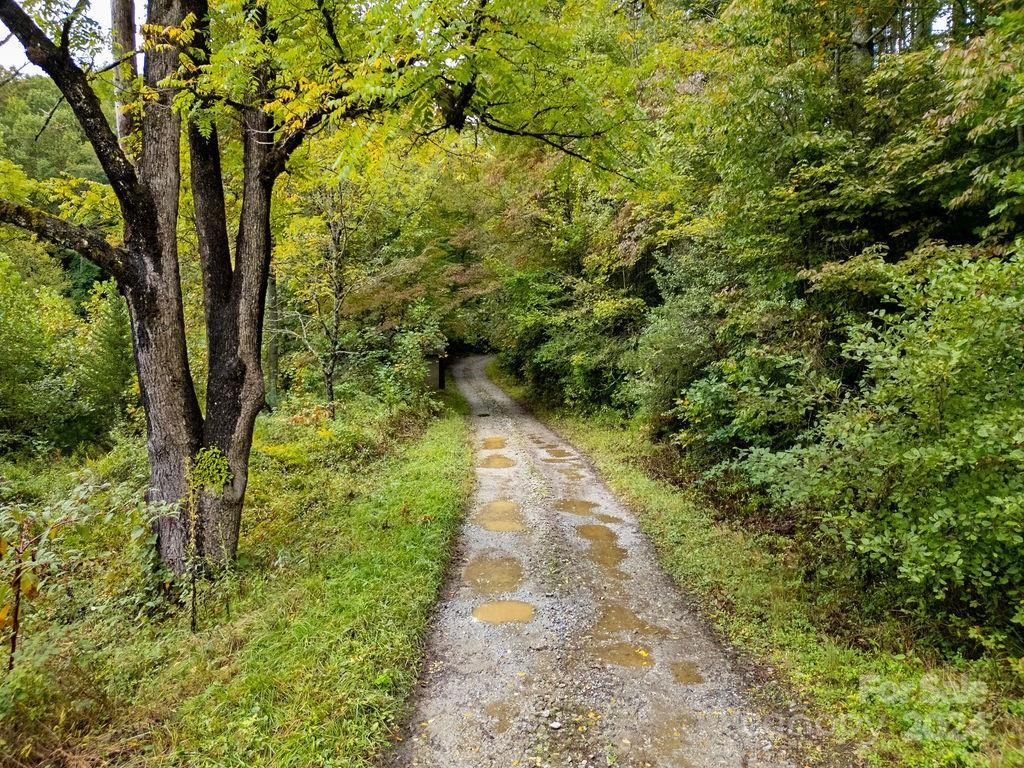 TBD Homer McCall Road