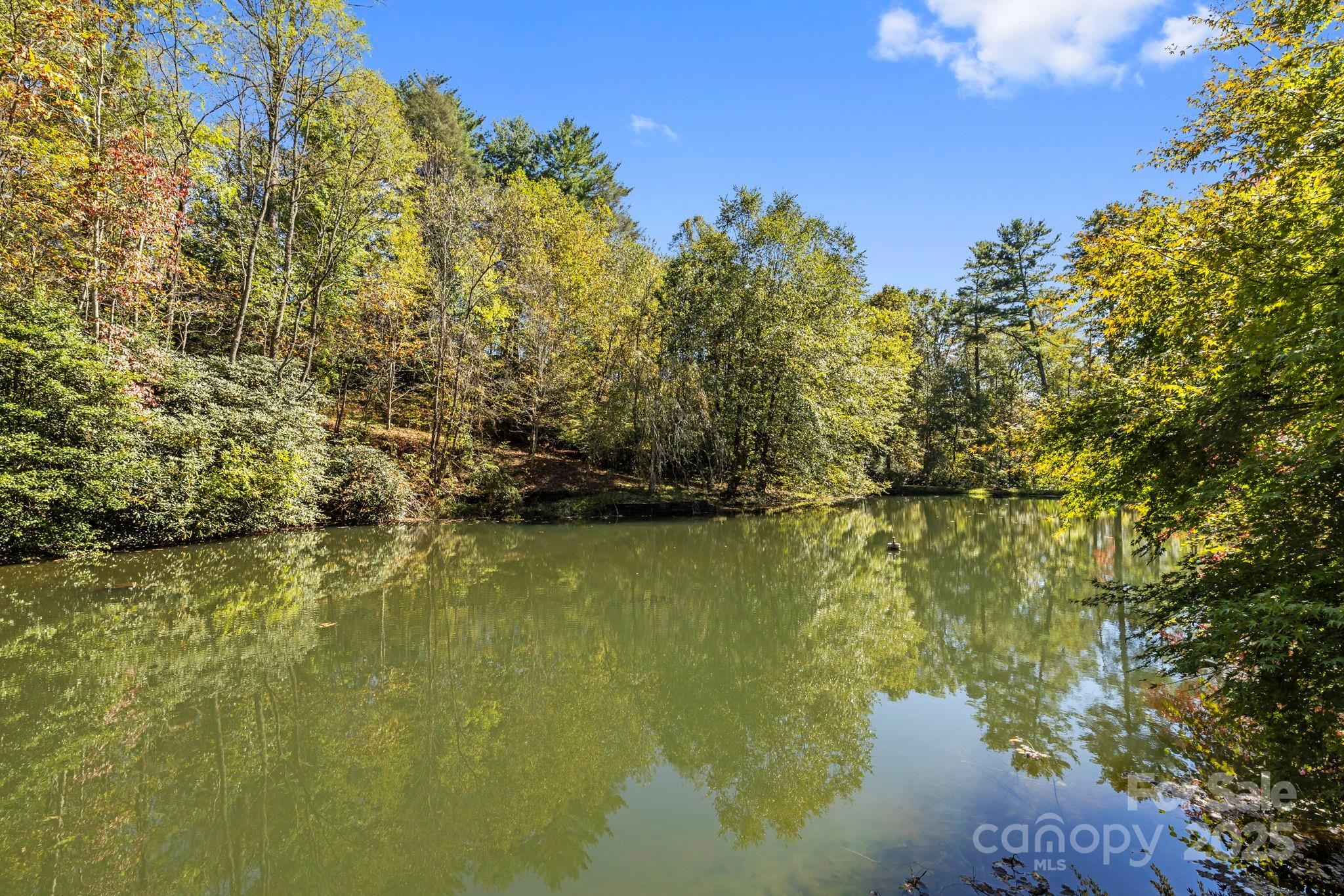 1051 Kim Miller Road