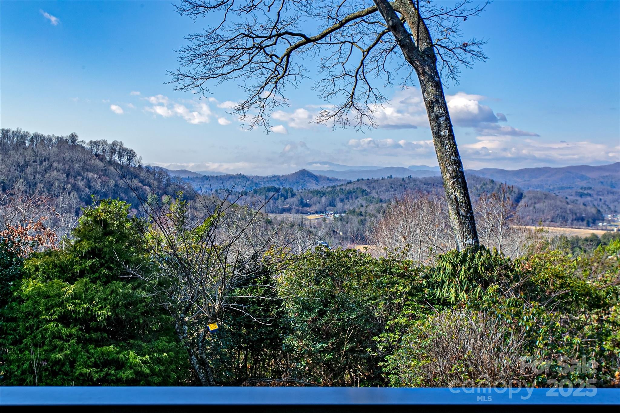 524 Three Mile Knob Road Unit: 2