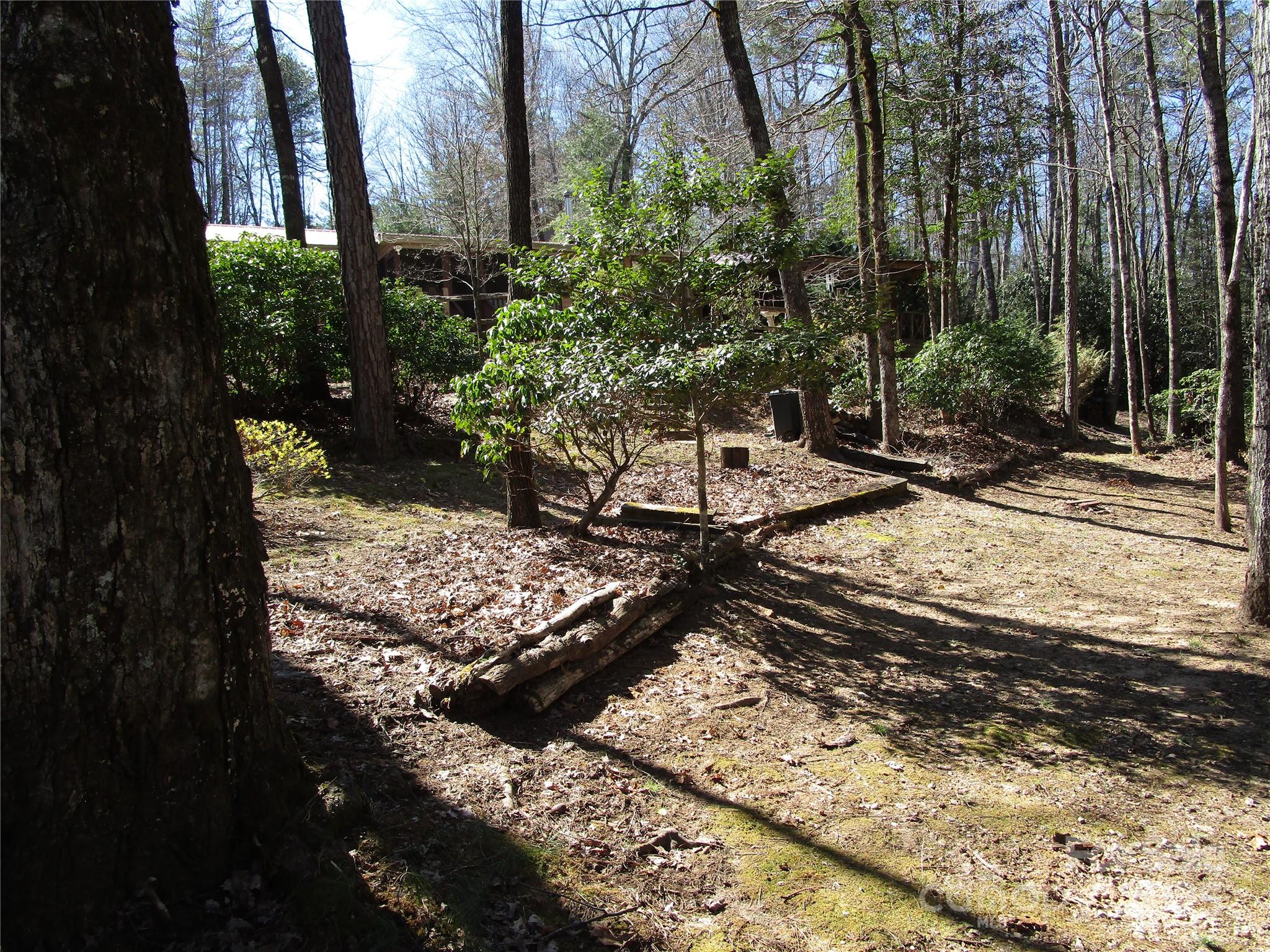 116 Minerva Lane