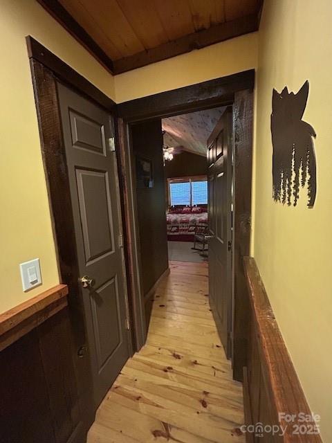116 Minerva Lane