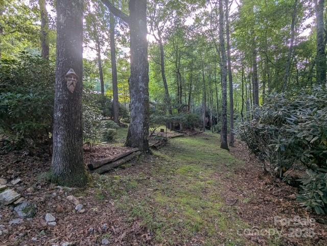 116 Minerva Lane