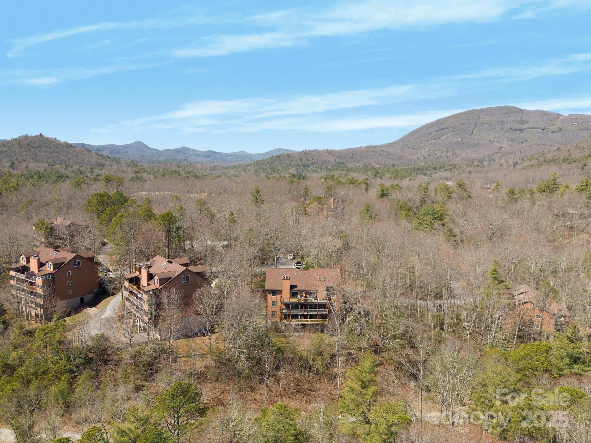 73 Toxaway Views Drive Unit: 306