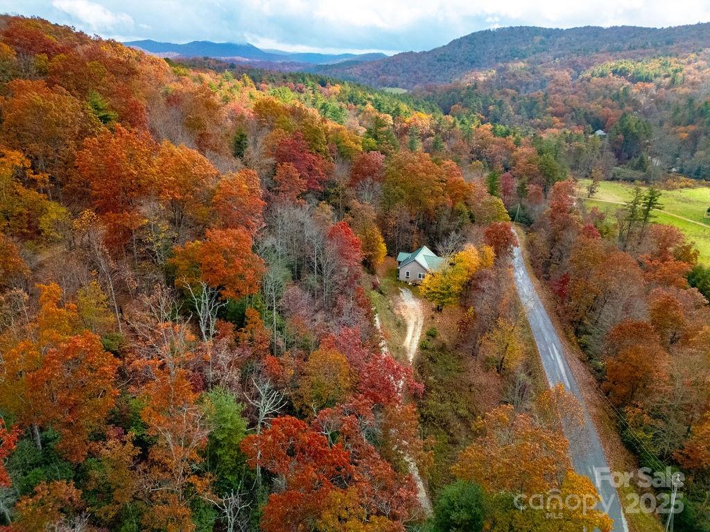 50 Honey Mountain Lane