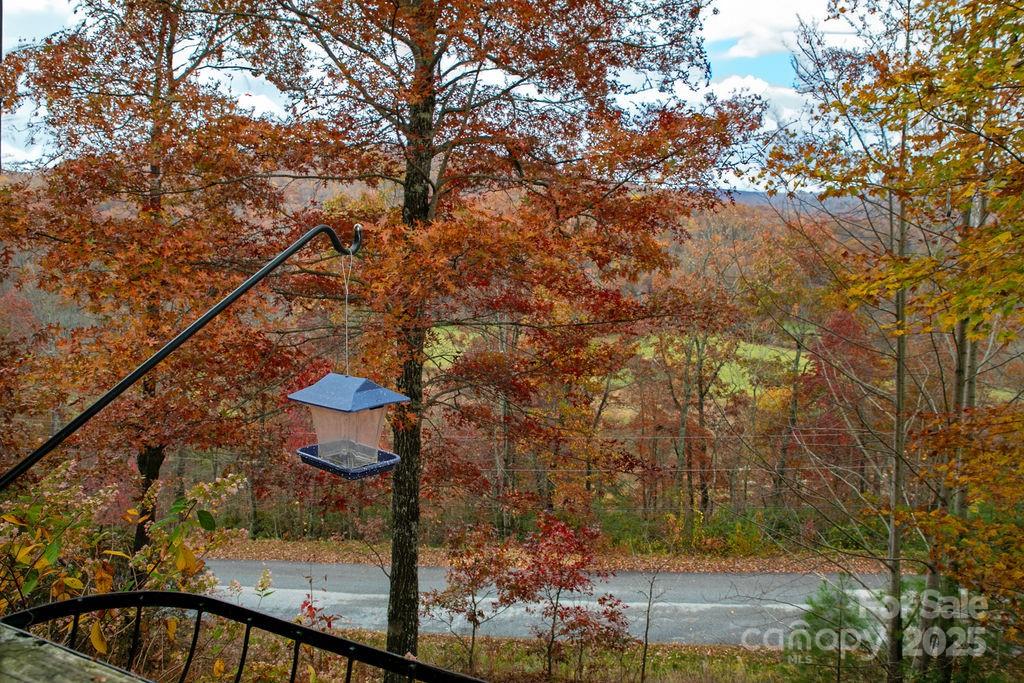 50 Honey Mountain Lane