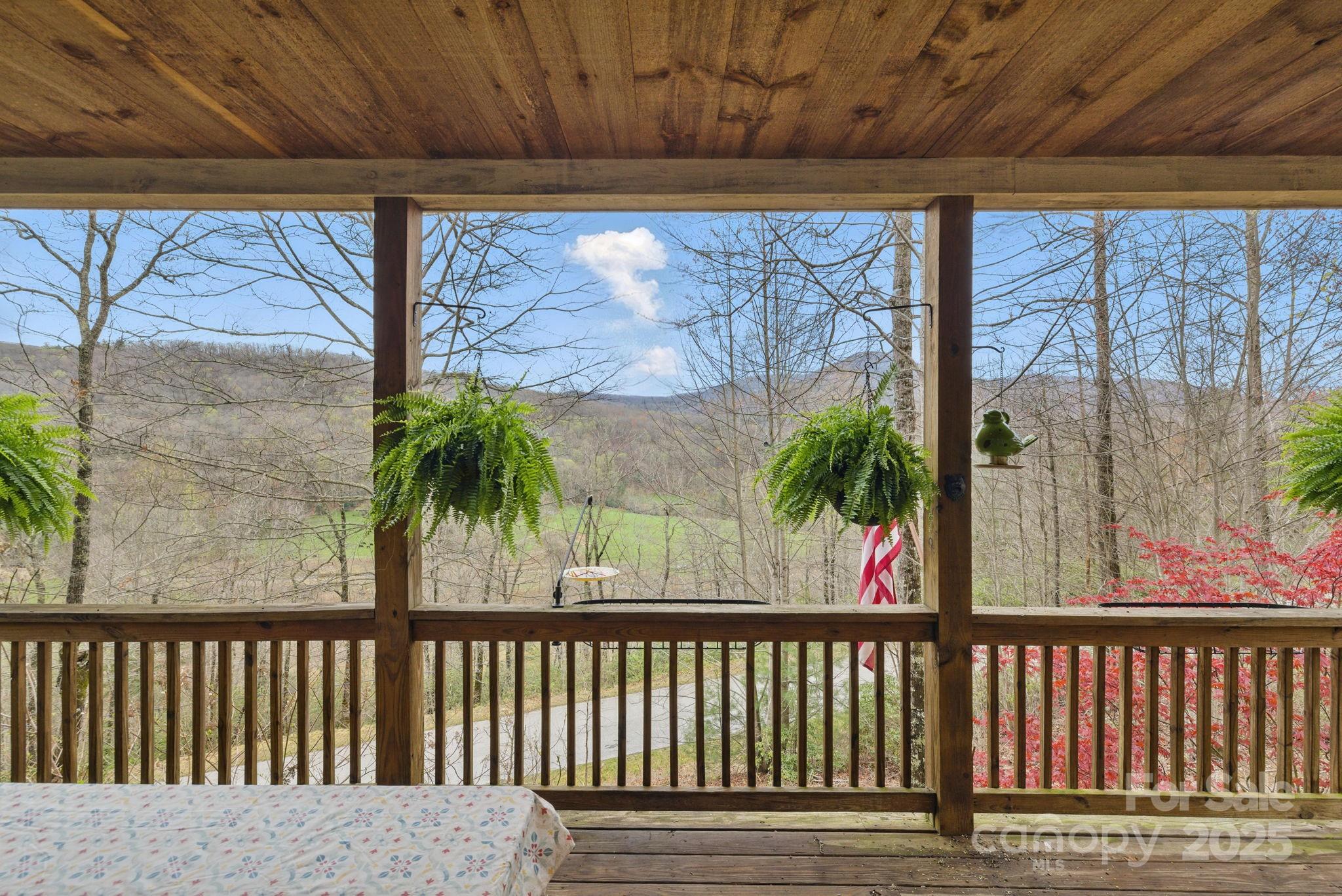 50 Honey Mountain Lane