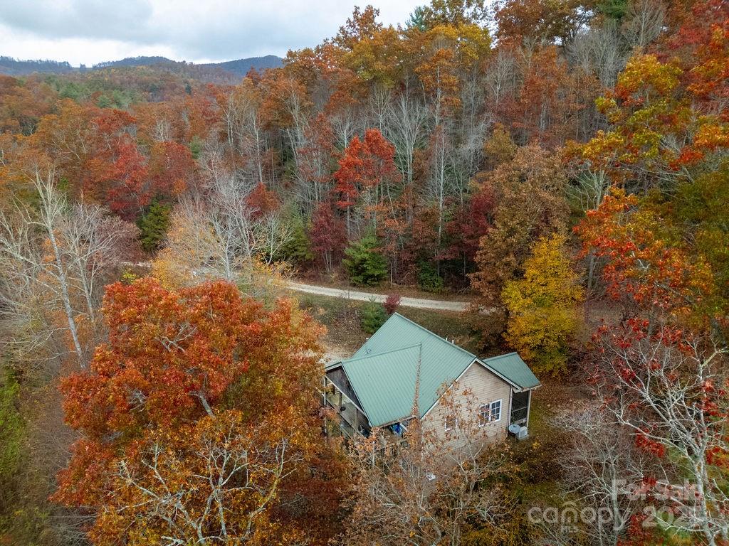 50 Honey Mountain Lane
